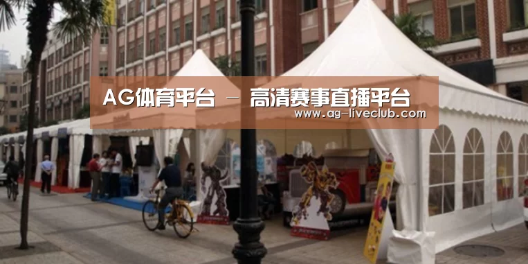 案例标题九
