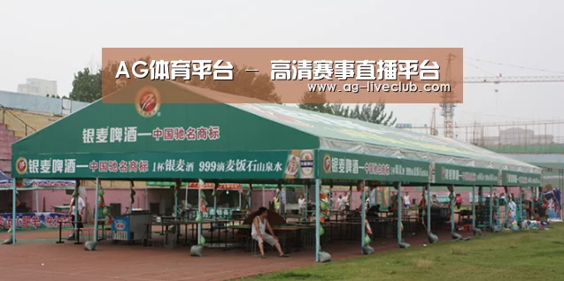 案例标题七