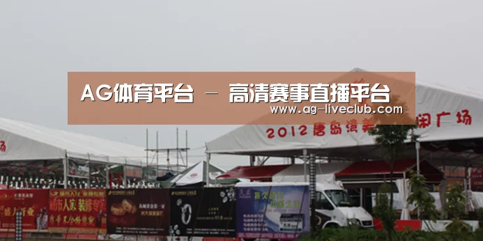 案例标题十