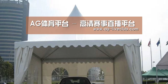 案例标题八