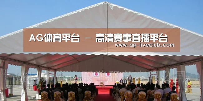 案例标题三