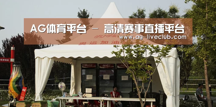 案例标题五