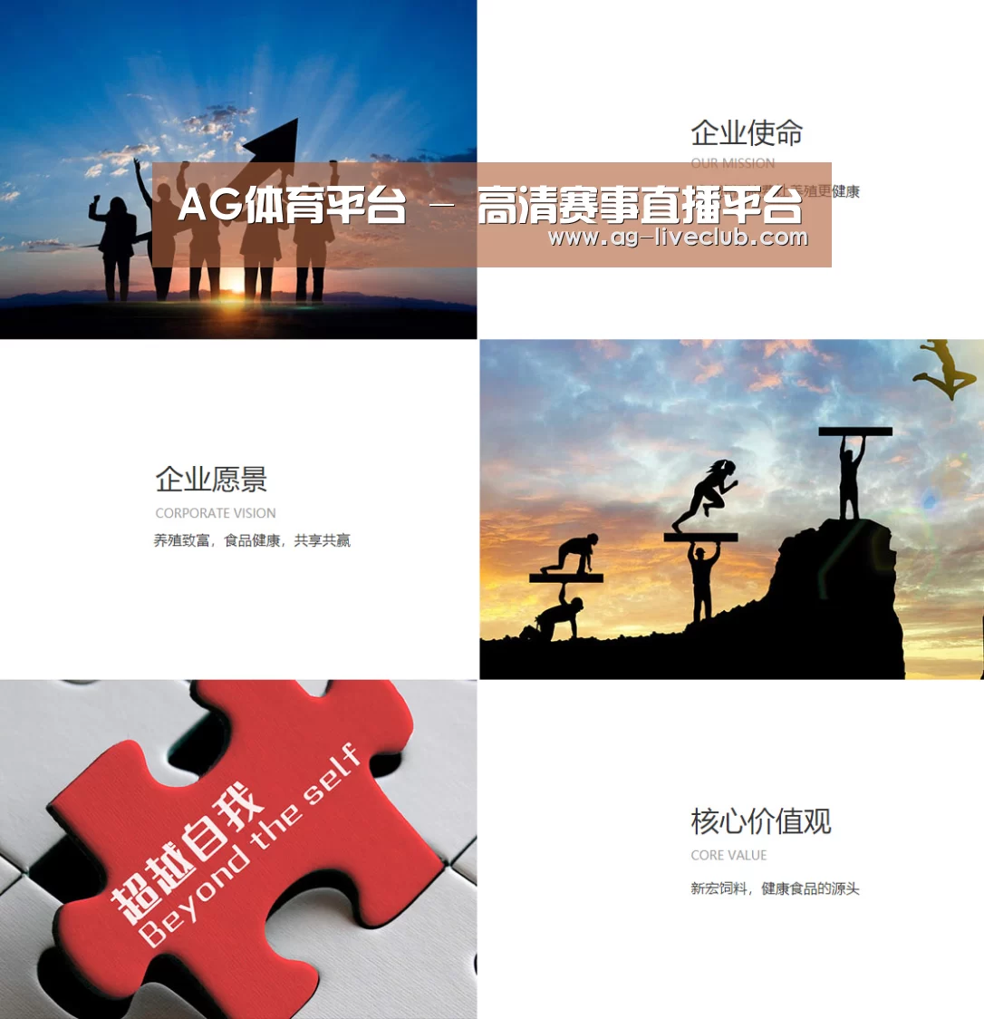 企业文化(图1)
