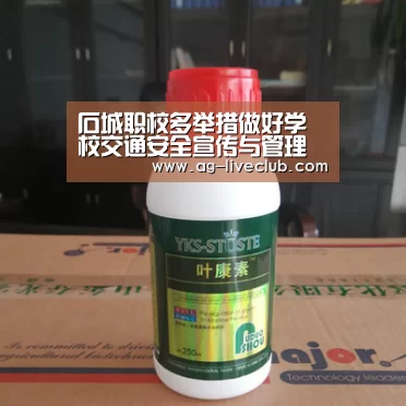 石城职校多举措做好学校交通安全宣传与管理工作:AG体育(图3) AG足球