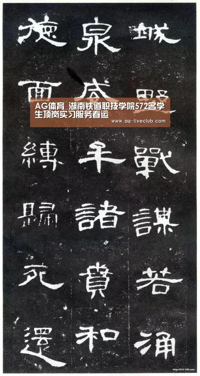 AG体育_湖南铁道职技学院572名学生顶岗实习服务春运(图2) AG篮球