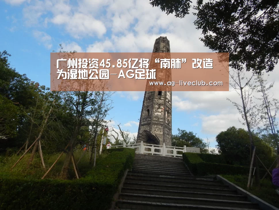 广州投资45.85亿将“南肺”改造为湿地公园-AG足球(图1) AG赛事