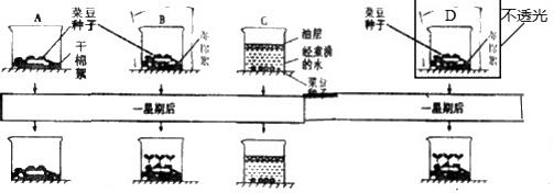 AG赛事_重庆中等职业学校职业技能大赛开赛(图4) AG体育